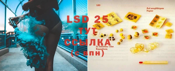 ECSTASY Алзамай
