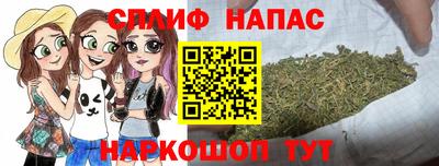 Альфа ПВП Краснознаменск