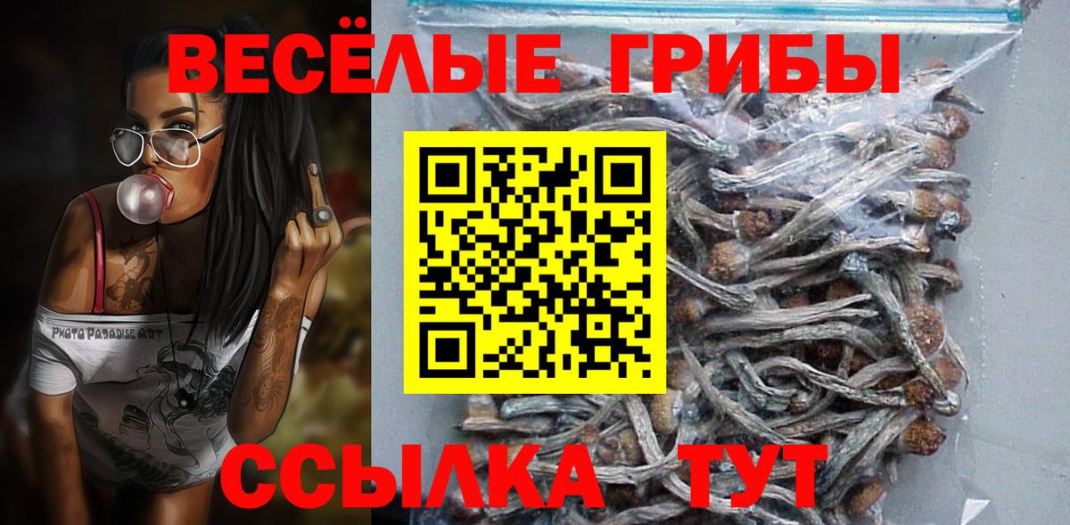Псилоцибиновые грибы мицелий Ковров
